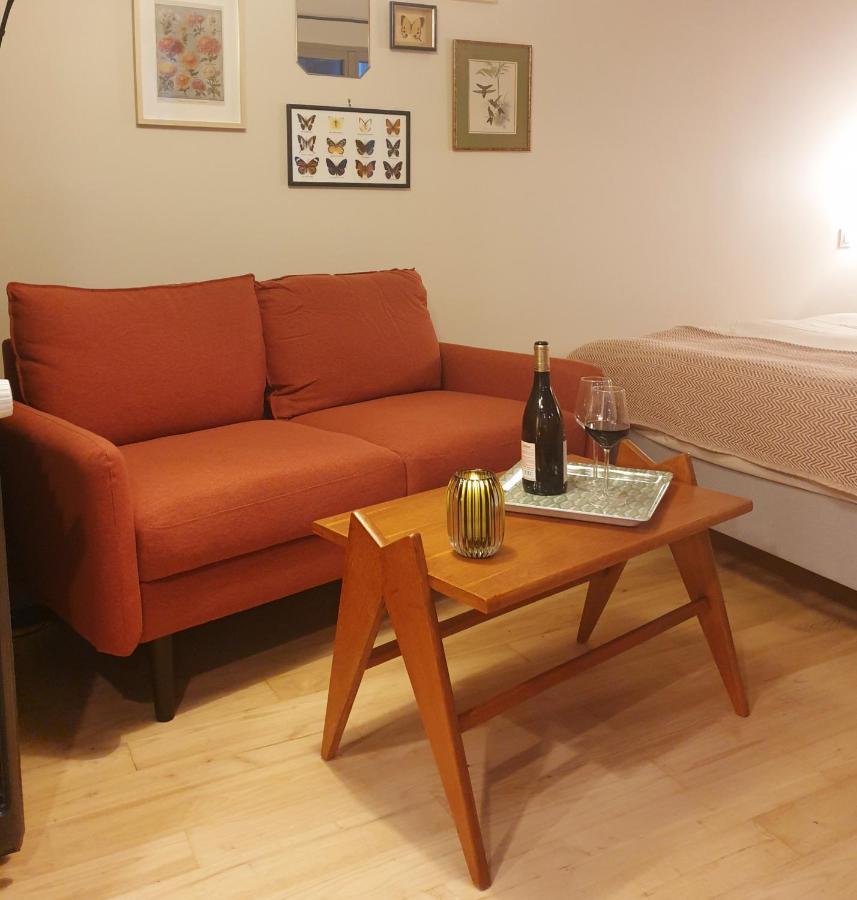 Maisonnette Cosy Coeur Centre Avec Accueil Velo Сомюр Екстер'єр фото